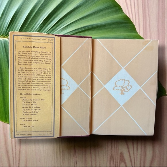 VINTAGE 1938 Black is My Truelove’s Hair by Elizabeth Madox Roberts Dust Jacket - Picture 6 of 10